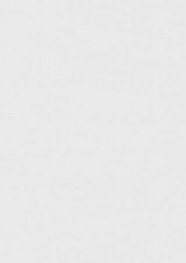 Lambris Bocado DP 250 Mur Blanc 1280x250mm - Biemar Bois