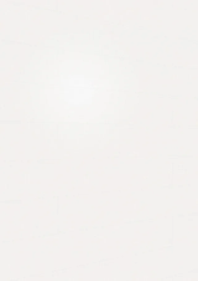 Lambris décor Terra DP 250 Blanc Vintage 20099 -2600*250*12mm
