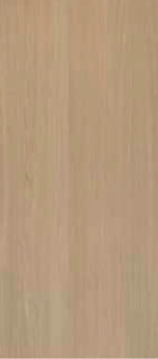 Shinnoki - Couvre Chants Placage - Desert Oak - sans colle - 0,6 x 24 / 100 m