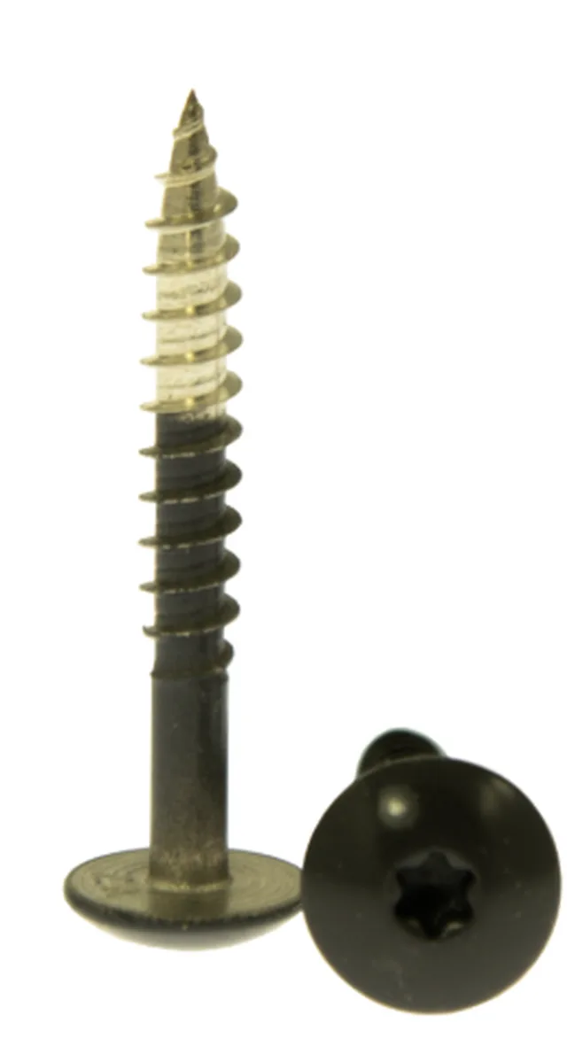 Vis Trespa inox A2 Torx 20 tête bombée (12 mm) natural graphite 4,8x 38 mm (NA17 mat) (Emb de 100 pces)